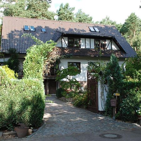 Pension Tannenspitze Wittenberg Exteriér fotografie