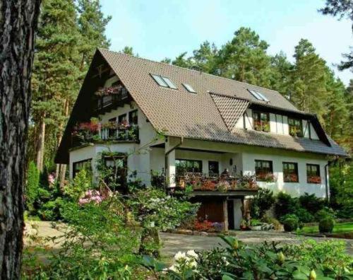 Pension Tannenspitze Wittenberg Exteriér fotografie