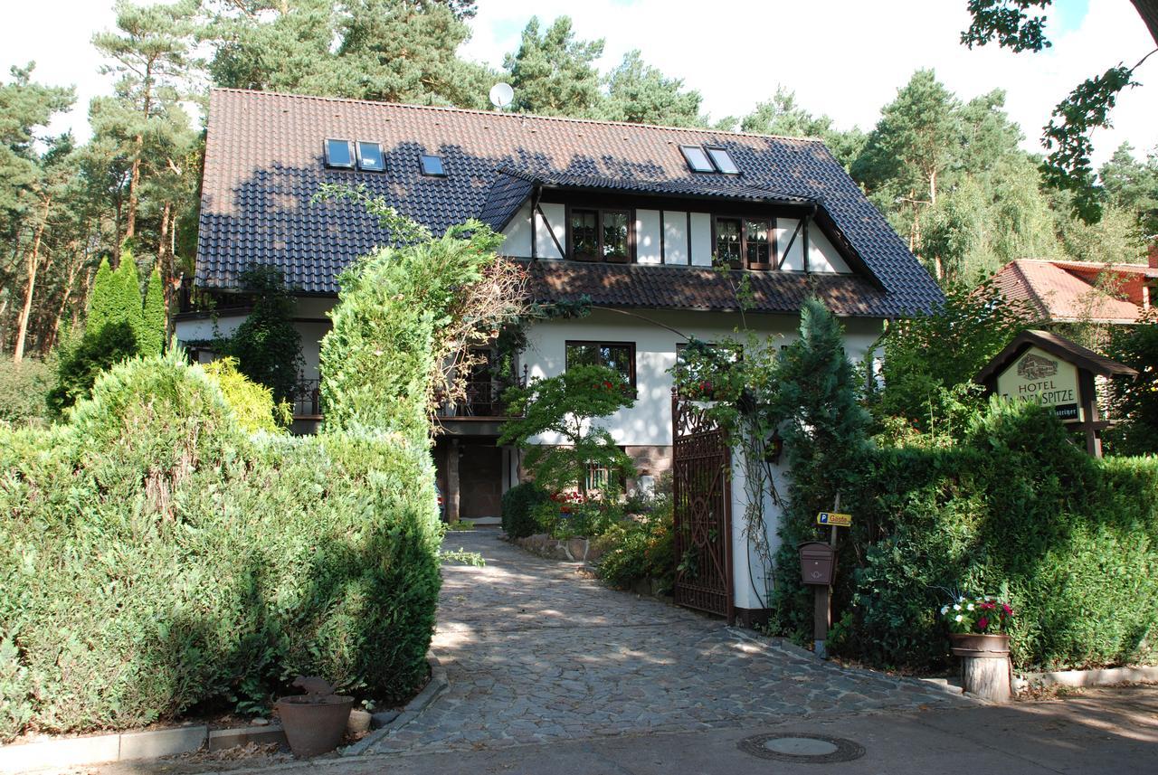 Pension Tannenspitze Wittenberg Exteriér fotografie