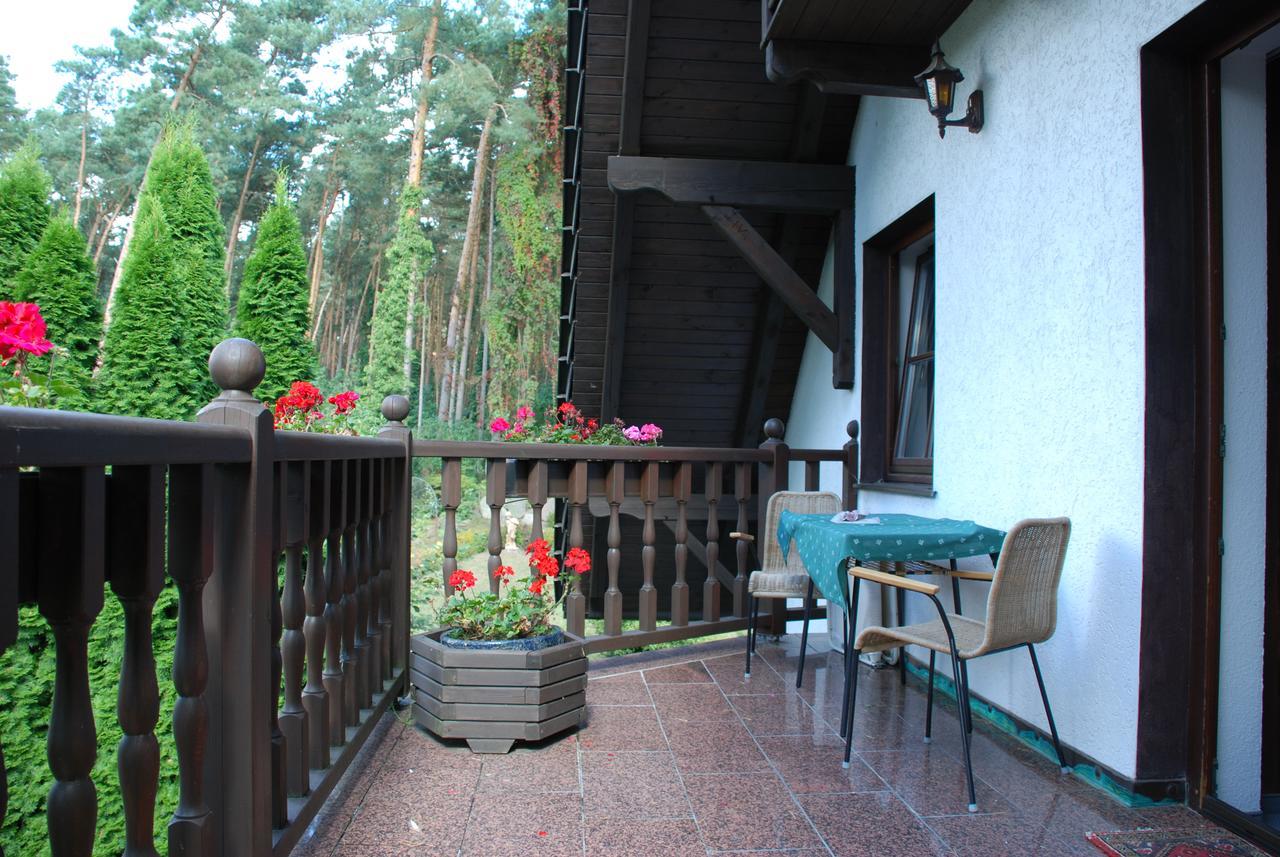 Pension Tannenspitze Wittenberg Exteriér fotografie